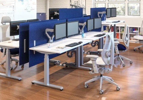 Ergonomic chairs and sit-stand desks for office teams