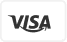 visa icon