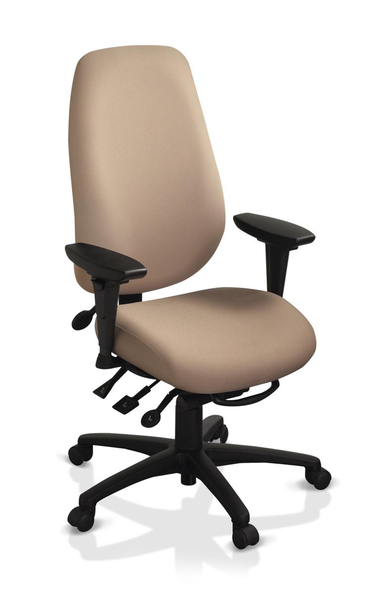 ErgoCentric GeoCentric Ergonomic Chair for Tall People | Healthy Posture  Store