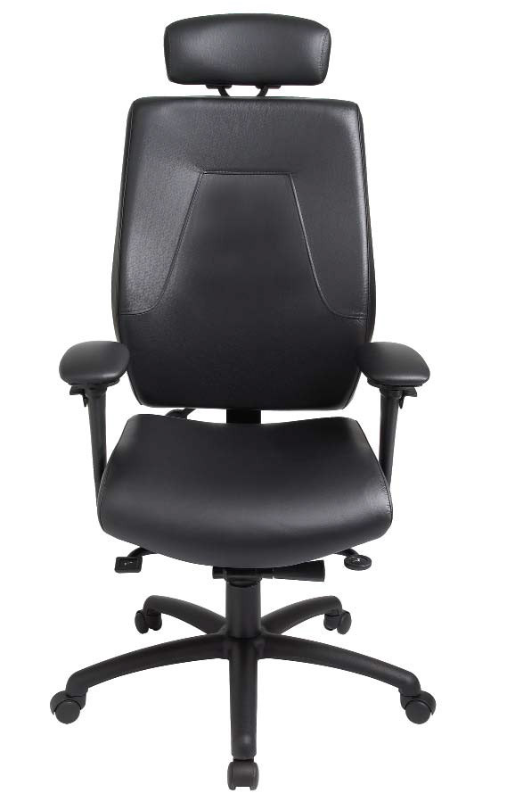 ergoCentric eCentric High Back Executive Chair with Headrest Healthy