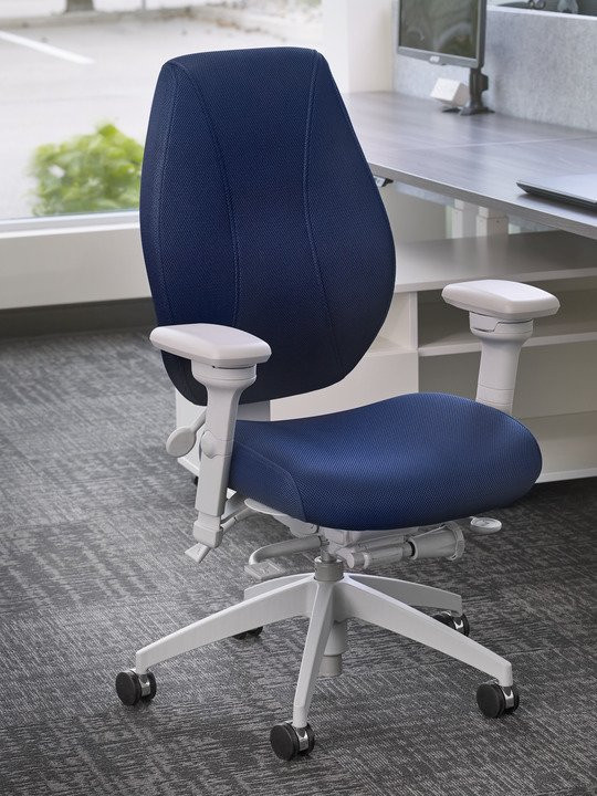 Ergocentric Aircentric Air Flow Back Seat Desk Chair Healthy Posture Store