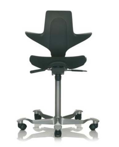 Hag Capisco Puls 8020 Office Chair