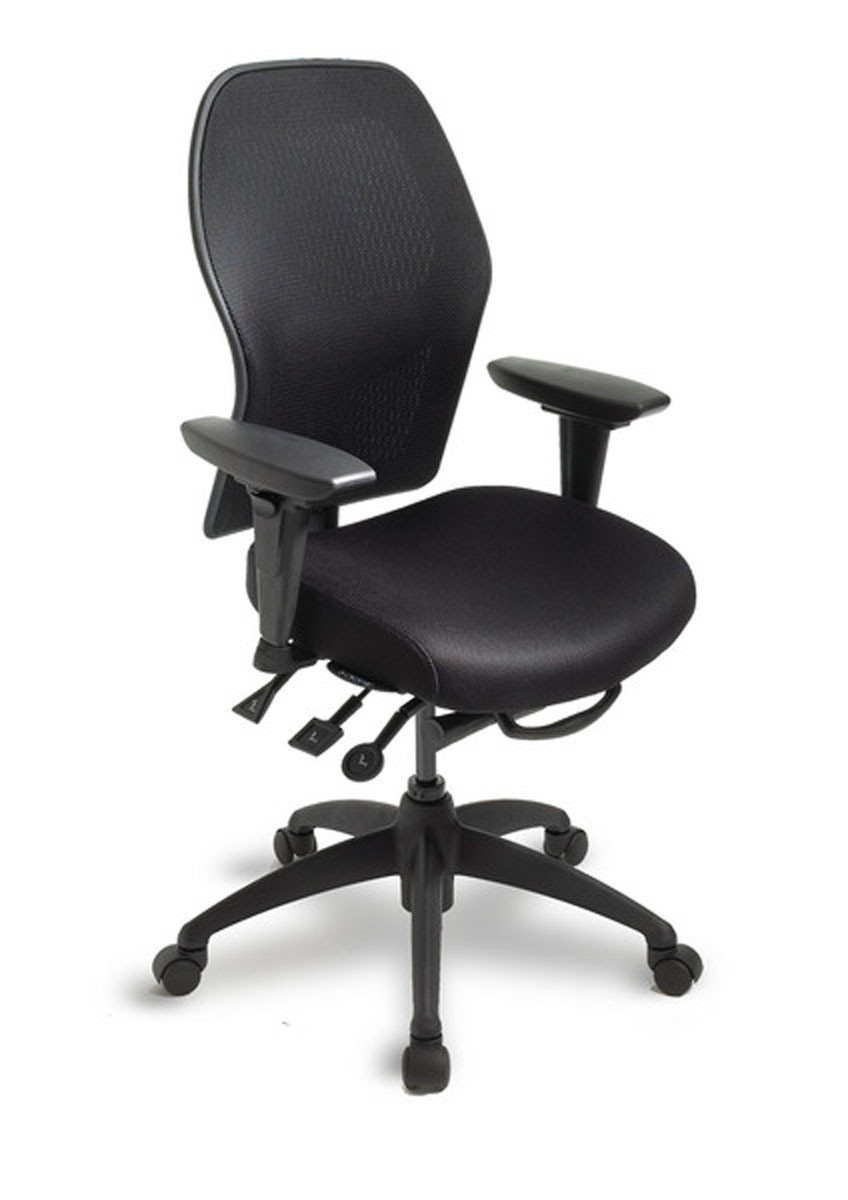 Ecocentric Mesh Ergonomic Desk Chair By Ergocentric
