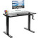 VIVO Hand Crank Adjustable Stand Up Desk (43” x 24”) - Black
