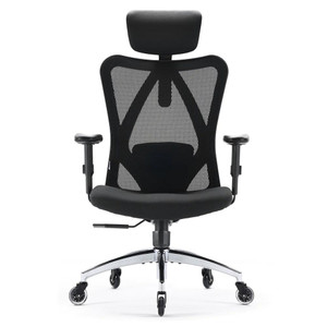 Healthy Posture Sihoo M57 Full Mesh Ergonomic Office Chair