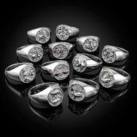 Sterling Silver CZ Birthstone Zodiac Ring