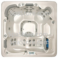 2009 Artesian Spas Island Antigua 44 Two Pump System 44 Jet Insert Complete Replacement Package Upgraded Stainless Jets
