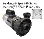 Current Version Sundance® Spas  680 Series McKinley Spa Pump 2.5 HP, 220-240 Volt, Two Speed, Baseless