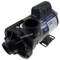 CURRENT VERSION Sundance® Spas Heater Pump For 2007 Model Maxxus® With O-rings x 2 Qty