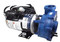 2018 Dynasty Spa Pump, 2 Speed, 48 Frame, Gecko, 6hp-230v-56fr-2spd, Blue Wet End 3-Wire, 8ft 4 Pin Amp, 2" Connectors/Unions 