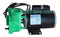 Dynasty Spa Pump, 2 Speed, 48 Frame, Gecko, 5hp-Spl-230V-48fr-2spd, Green Wet End 4-Wire, 8ft in. Link, 2" Connectors/Unions