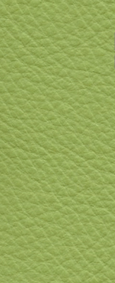 Wasabi Semi-Aniline Leather