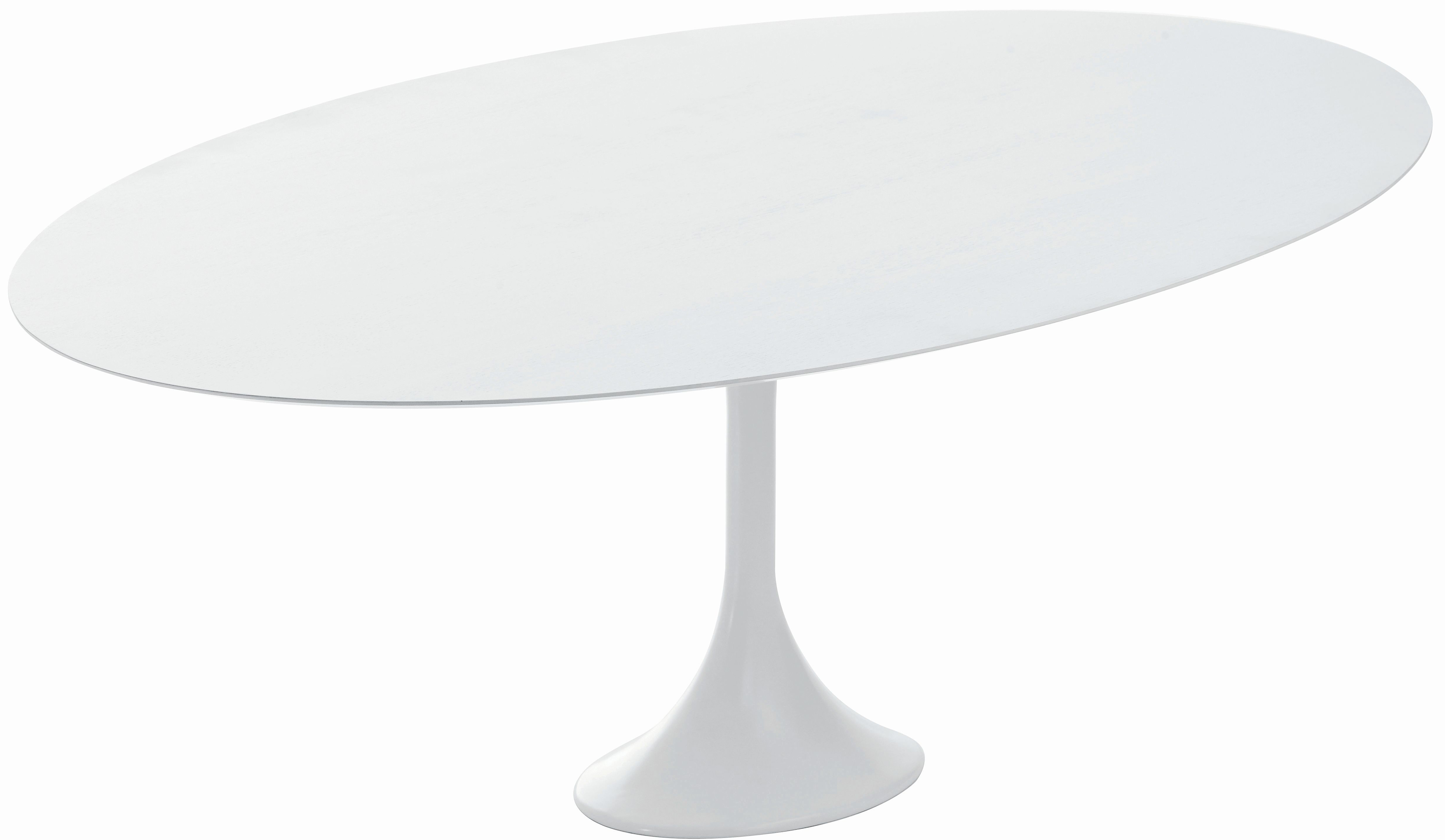 echo dining table by nuevo living