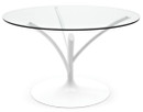 Acacia 55" Dining Table By Calligaris
