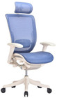 Ergo Blue Mesh Ergonomic Office Chair