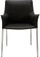 Colter Dining Arm Chair Black