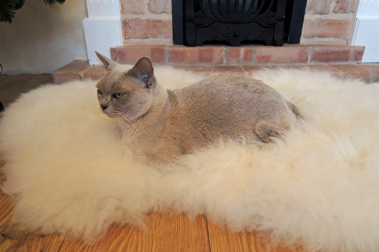 Soft 100 Genuine Natural Sheepskin Rug Pet Bed Dog Cat Silky Warm Wool Milabert
