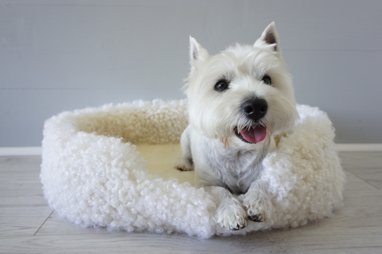 Genuine Sheepskin Large Oval Pet Bed | Wool Dog Bed | Puppies | Cat Bed |  Wool Pet Bed | Wool Sheepskin Pet Supplies | Dog Lover Gift - MILABERT