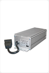 250watt Digital Balast MH/HPS