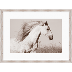 Run Free Horse Print Framed