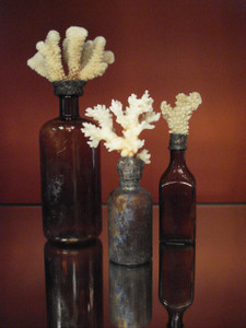 Vintage Coral Bottles set of 3 in Amber