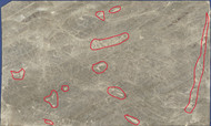 Taj Mahal Quartzite 130" x 78"