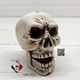 Aged Skull