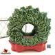 Green Wreath napkin holder, letter holder, universal holiday decor