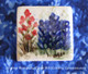 Hand made square style refrigerator magnet with Texas Bluebonnets made in the USA