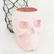 Light Pink skull holder.