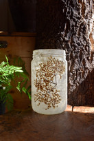 Elderflower Lace Lantern