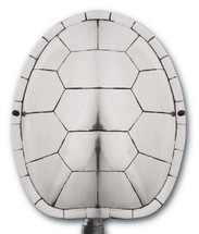 Terrapin Wall Sconce By Currey & Company