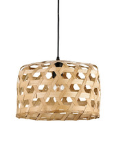 Willowbrush Pendant By Currey & Company