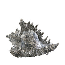 The Aristotle Shell by Theodore Alexander