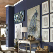 Peacock Wall Art