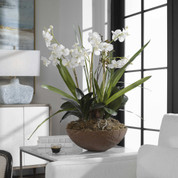 White Orchid Silk Plant