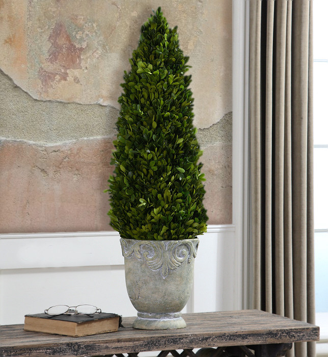 Preserved Boxwood Cone Topiary - BellaSoleil.com