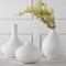 White Apothecary Vases