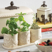 Acanthus Scroll Herb Pots