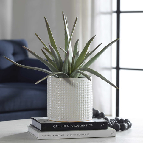 Silk Aloe Planter