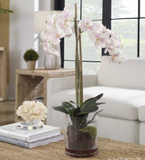 Silk Orchid Arrangement
