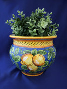 Deruta Limone Lemon Cachepot Planter