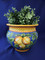Deruta Limone Lemon Cachepot Planter