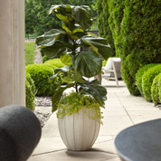 Alabastro Outdoor Terracotta Planter