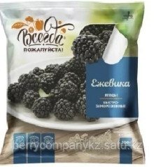 Blackberry Quick frozen (300g pack)