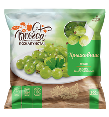 Gooseberry Quick frozen (300g pack)