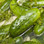 1/2 Sour Pickles