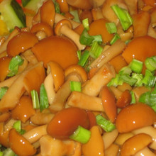 Pickled Mushrooms