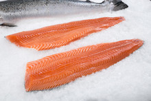 Fresh Salmon 1 LB