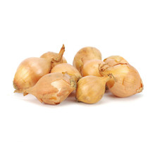 Small Onion 1 LB